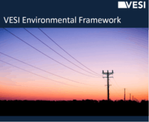 VESI Enviro Framework