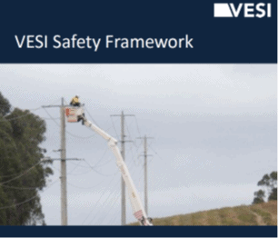 VESI Safety Framework